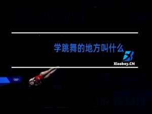 学跳舞的地方叫什么