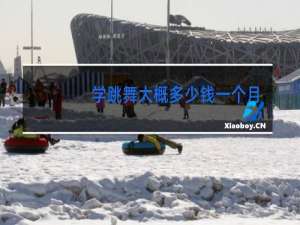 学跳舞大概多少钱一个月多少钱