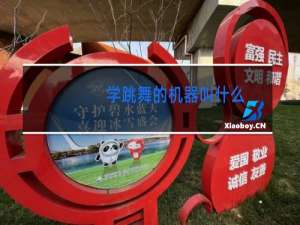学跳舞的机器叫什么