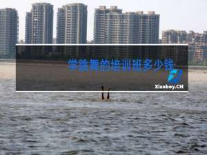 学跳舞的培训班多少钱