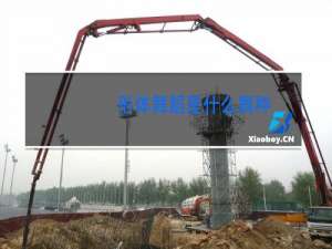 形体舞蹈是什么舞种