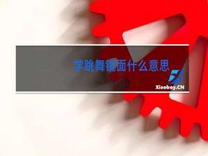 学跳舞镜面什么意思