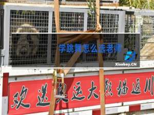 学跳舞怎么选老师