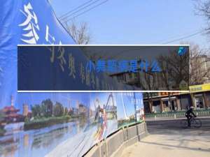 小舞蹈病是什么