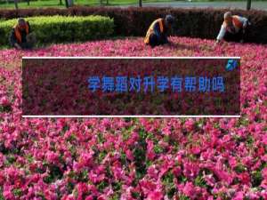 学舞蹈对升学有帮助吗