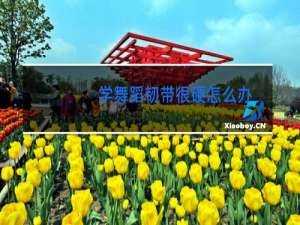 学舞蹈韧带很硬怎么办