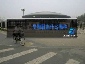 学舞蹈选什么舞种