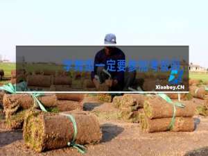 学舞蹈一定要参加考级吗