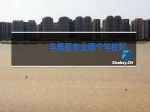 学舞蹈专业哪个学校好
