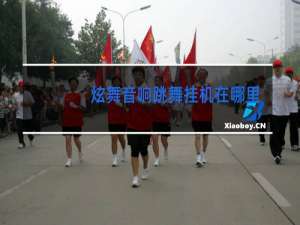 炫舞音响跳舞挂机在哪里