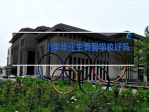 小学毕业生舞蹈学校好吗