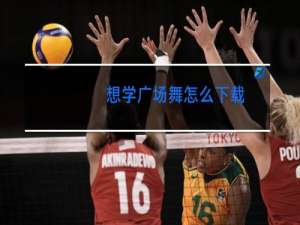 想学广场舞怎么下载