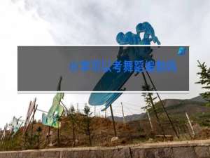 小学可以考舞蹈编制吗