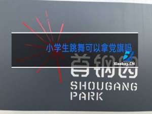 小学生跳舞可以拿党旗吗