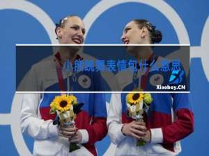 小熊跳舞表情包什么意思