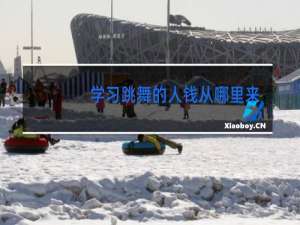 学习跳舞的人钱从哪里来