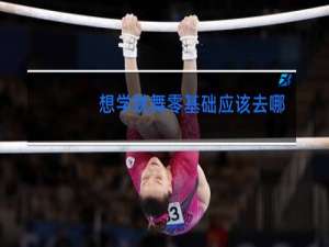 想学跳舞零基础应该去哪里学12岁