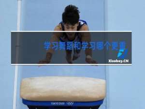 学习舞蹈和学习哪个更重要