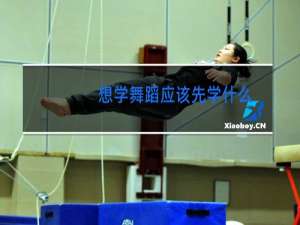 想学舞蹈应该先学什么