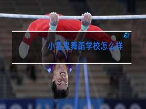 小星星舞蹈学校怎么样