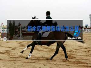 新余匹博舞蹈培训怎么样