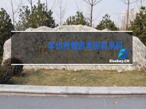 学幼师舞蹈考级有用吗