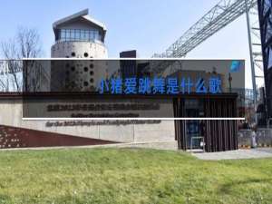 小猪爱跳舞是什么歌