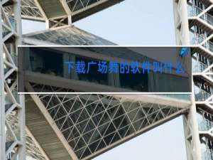 下载广场舞的软件叫什么