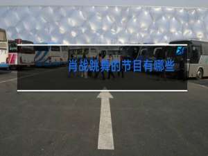 肖战跳舞的节目有哪些