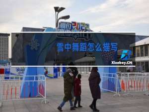 雪中舞蹈怎么描写