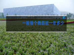 一般报个舞蹈班一年多少钱