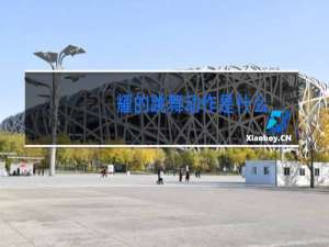 耀的跳舞动作是什么