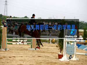 幼儿舞蹈班一年的学费是多少