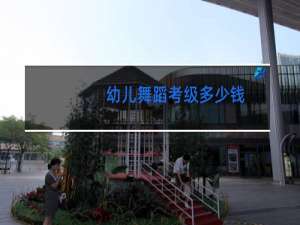 幼儿舞蹈考级多少钱