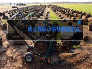 幼儿舞蹈小跳蛙教案怎么写