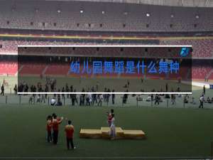 幼儿园舞蹈是什么舞种