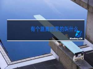 有个跳舞的男的叫什么