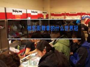 杨凯街舞拿的什么世界冠军