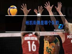 杨凯街舞是哪个队的