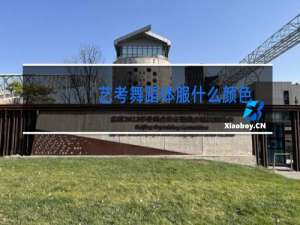 艺考舞蹈体服什么颜色