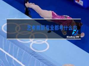 艺考舞蹈专业都考什么内容