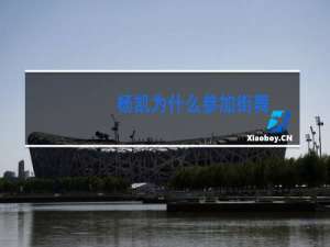 杨凯为什么参加街舞