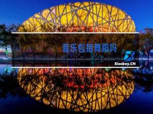 音乐包括舞蹈吗