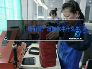 杨丽萍广场舞你牛什么牛广场舞相伴一生