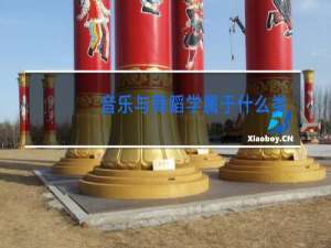 音乐与舞蹈学属于什么类