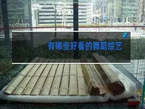 有哪些好看的舞蹈综艺