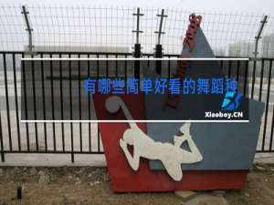 有哪些简单好看的舞蹈教学视频