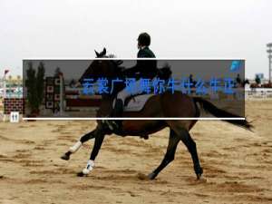 云裳广场舞你牛什么牛含背面分解动作