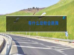 有什么动物会跳舞