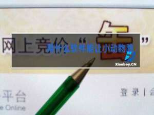 用什么软件能让小动物跳舞